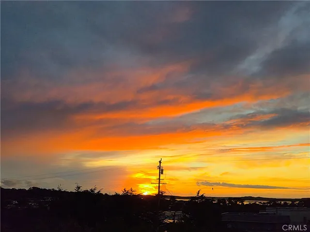 a view of city and ocean