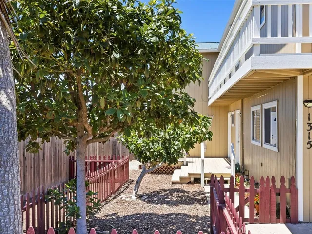a front view of a house with a tree