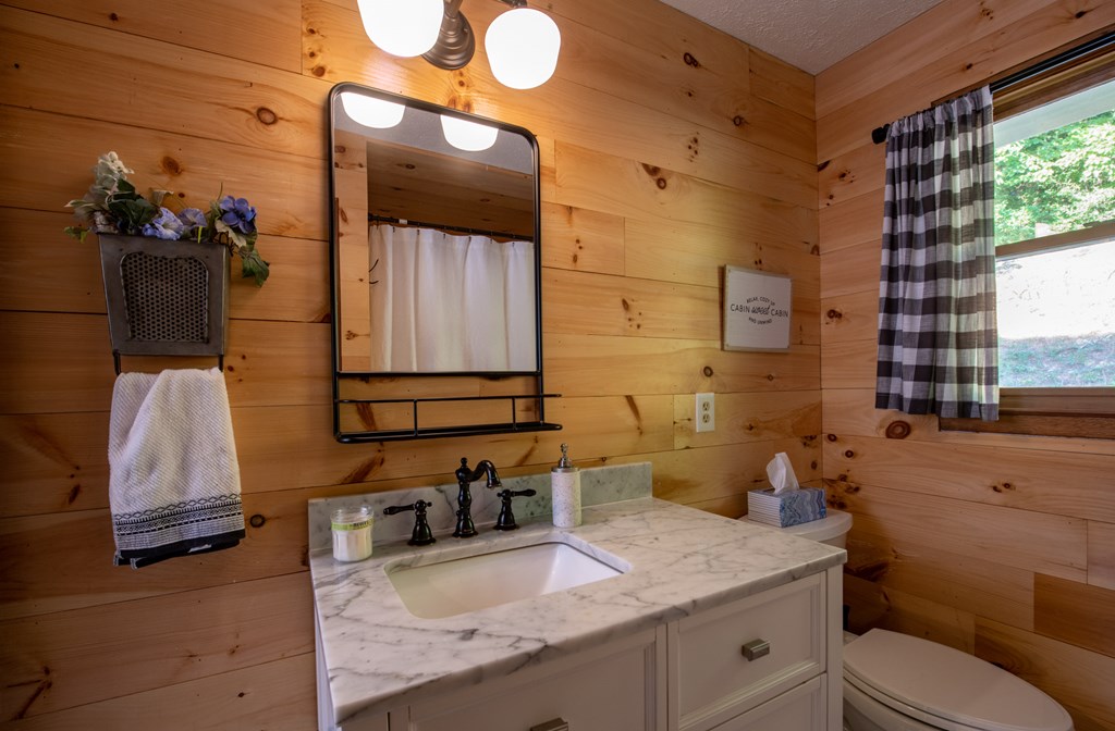 588 Pinetree Road Blue Ridge, GA 30513 - Photo 25 of 54 a bathroom with a granite countertop sink and a mirror
