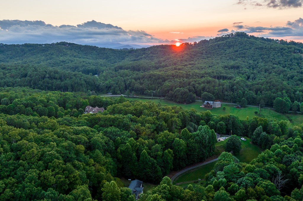 588 Pinetree Road Blue Ridge, GA 30513 - Photo 3 of 54 an aerial view of a house with mountain view