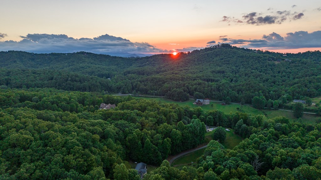588 Pinetree Road Blue Ridge, GA 30513 - Photo 39 of 54 a view of a lush green hillside and a houses