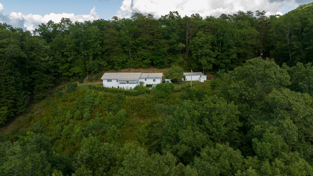 588 Pinetree Road Blue Ridge, GA 30513 - Photo 40 of 54 a backyard of a house with lots of green space and trees