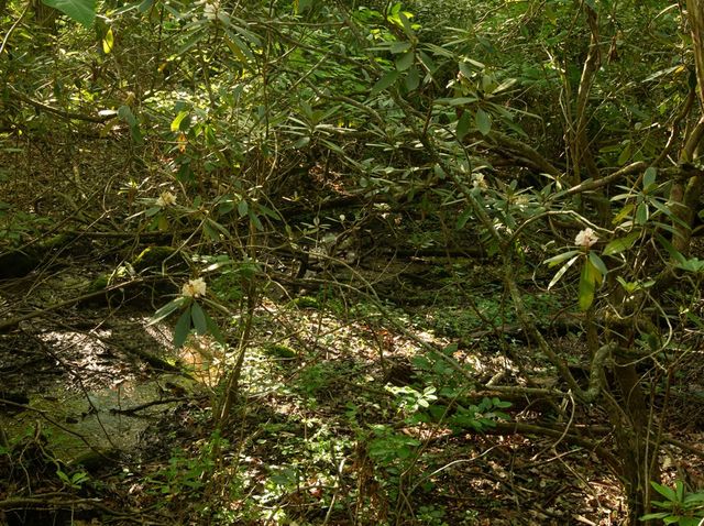a view of a patio in backyard