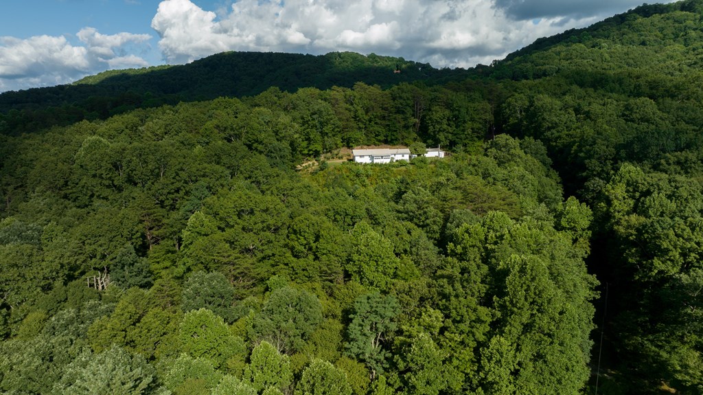 588 Pinetree Road Blue Ridge, GA 30513 - Photo 49 of 54