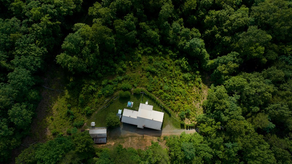 588 Pinetree Road Blue Ridge, GA 30513 - Photo 51 of 54