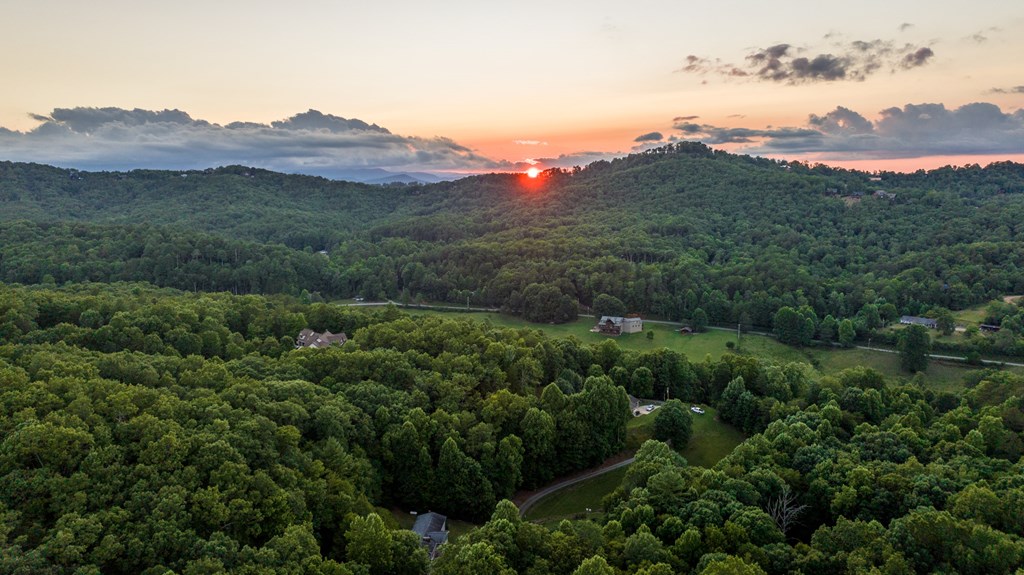 588 Pinetree Road Blue Ridge, GA 30513 - Photo 52 of 54 a view of a lush green hillside and a houses