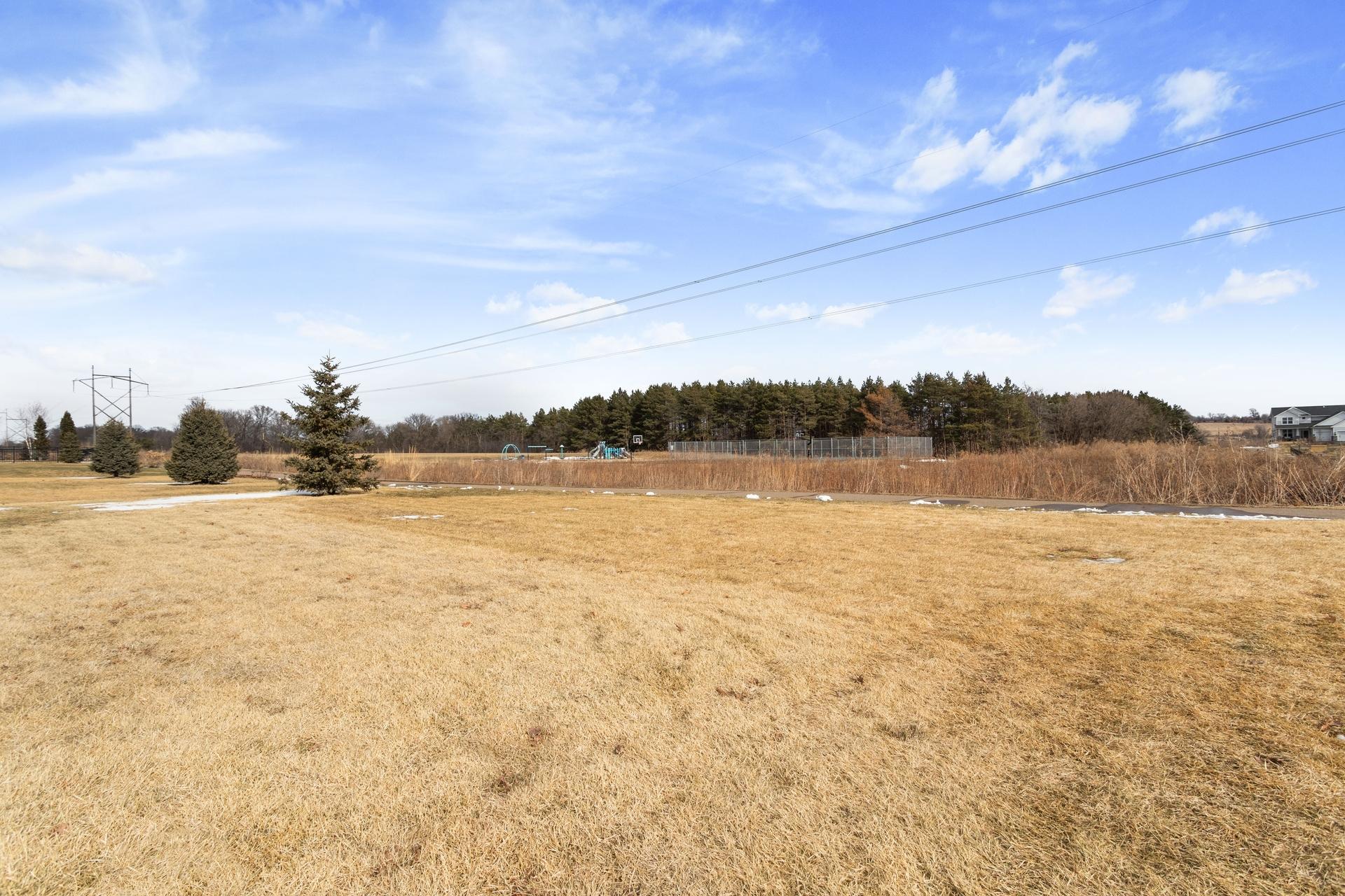 5366 Pine Island Road Woodbury, MN 55129 - Photo 4 of 41