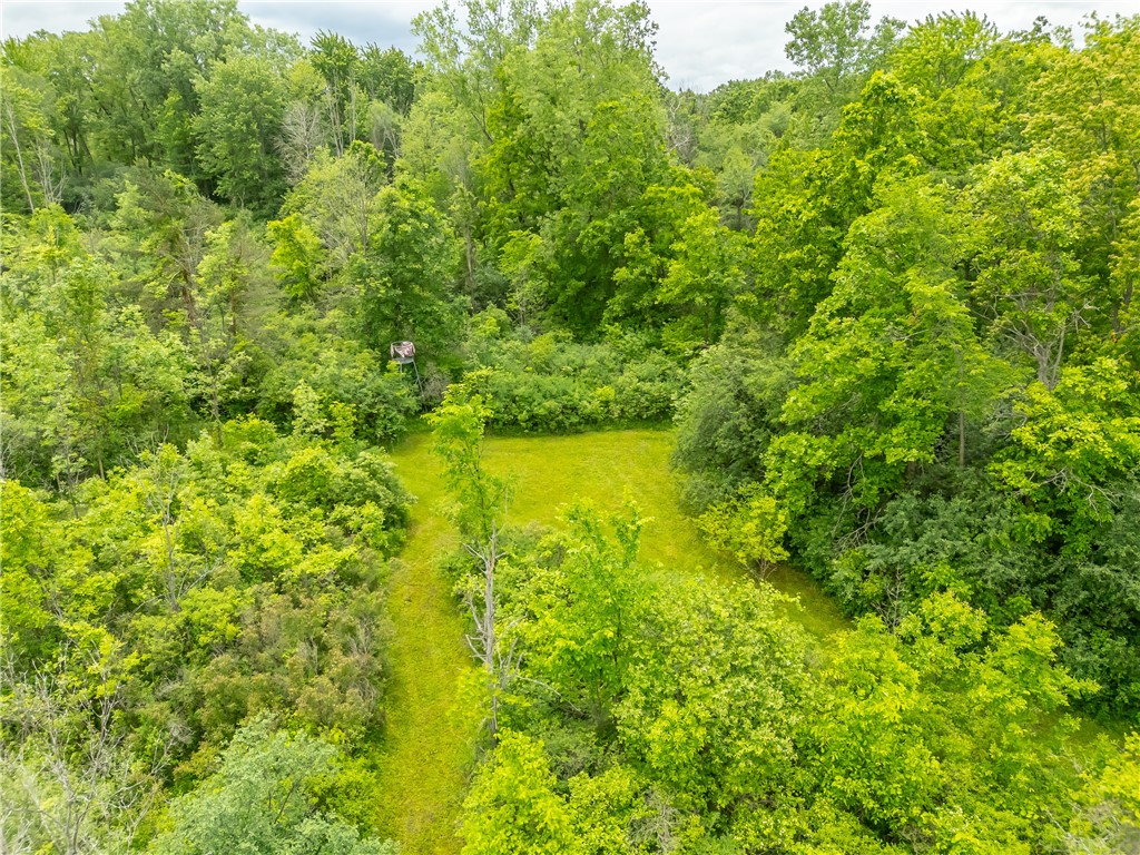 894 Ladue Road Sweden, NY 14420 - Photo 12 of 15