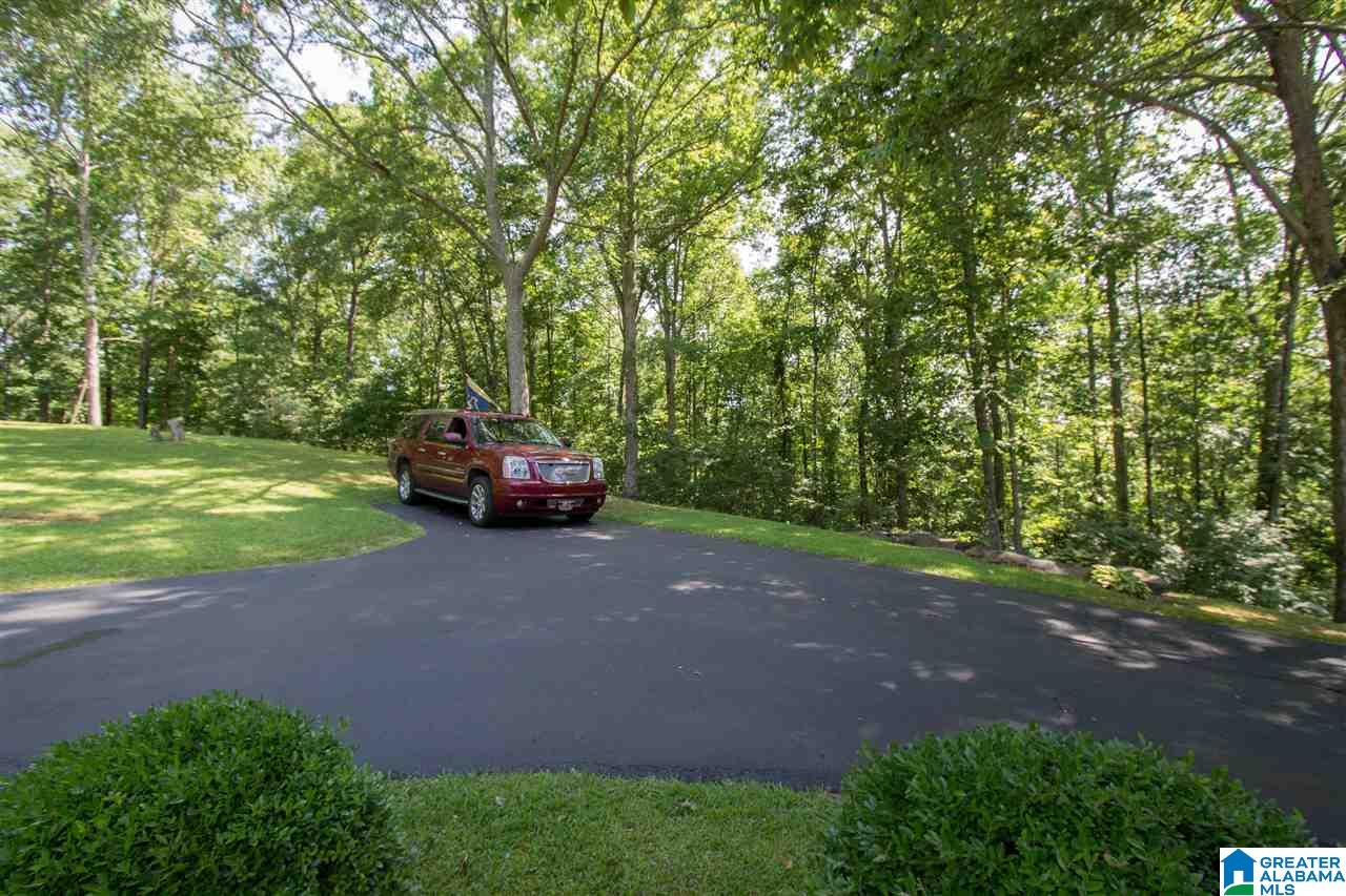 25 Cook Springs Road Pell City, AL 35128 - Photo 46 of 50