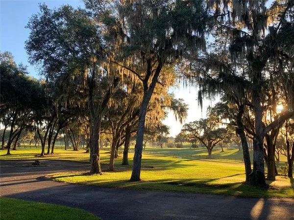 $3,695,000 | 5540 Southeast 157th Street Road, Unit OPTION 1), Summerfield, FL 34491