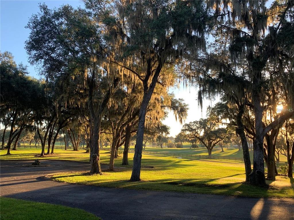 5540 Southeast 157th Street Road, Unit OPTION 1) Summerfield, FL 34491 - Photo 3 of 13 a view of swimming pool with an outdoor space and seating area