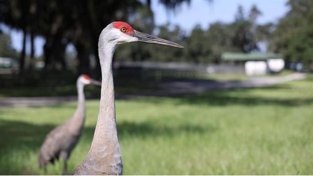 a close up of a sink