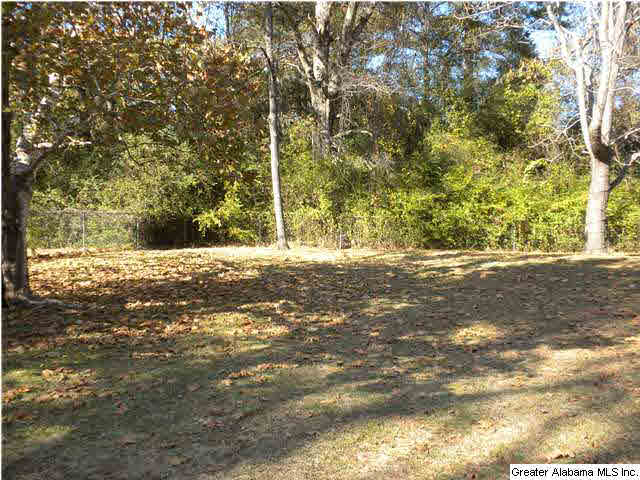5421 Charles Hamilton Road McCalla, AL 35111 - Photo 17 of 20