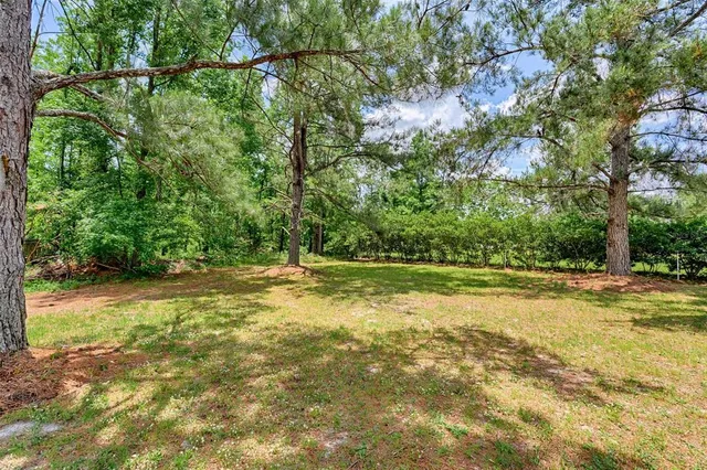 a view of a field with a tree