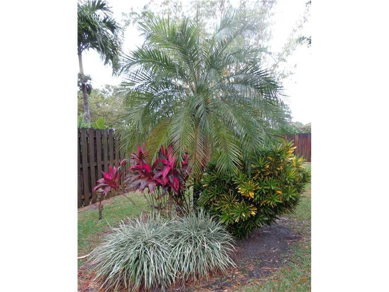 621 Southwest 75th Avenue Plantation, FL 33317 - Photo 19 of 20 a view of a backyard