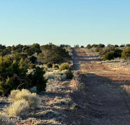 910 County Road St. Johns, AZ 85936 - Photo 7 of 12 910 County Rd N6657