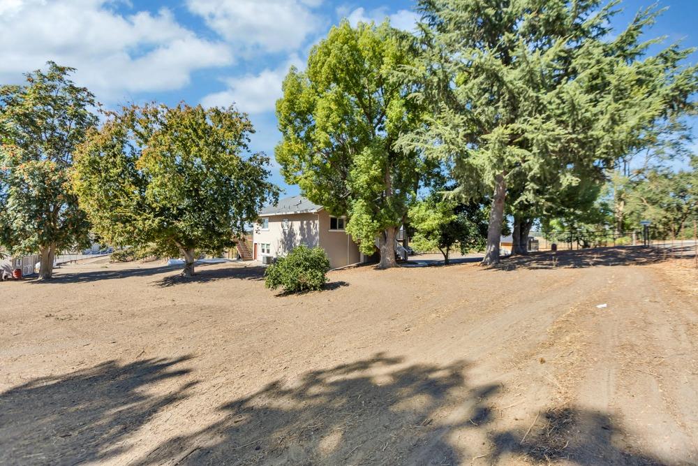 32852 South River Road Clarksburg, CA 95612 - Photo 4 of 72 a view of road and with trees in the background