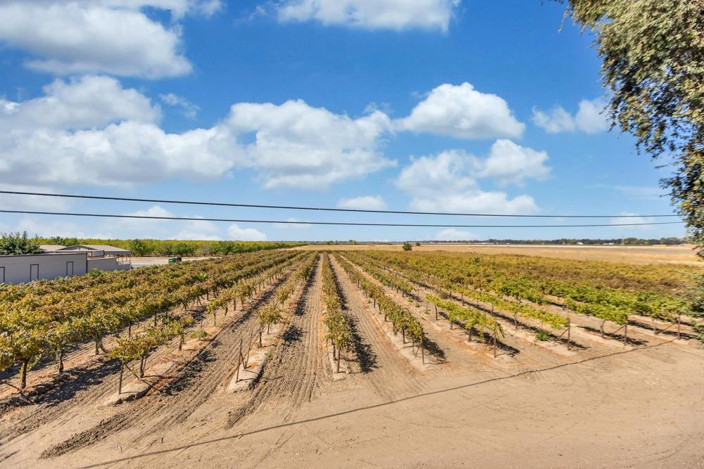 32852 South River Road Clarksburg, CA 95612 - Photo 51 of 72