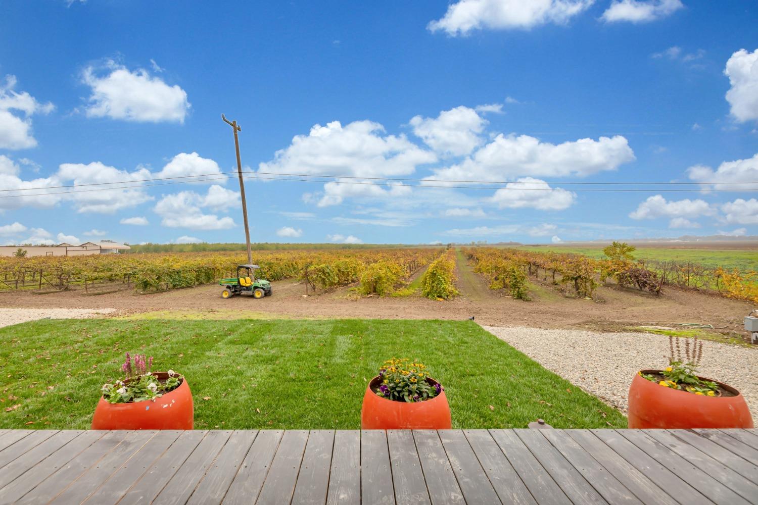 32852 South River Road Clarksburg, CA 95612 - Photo 70 of 72 a view of a yard with an outdoor space
