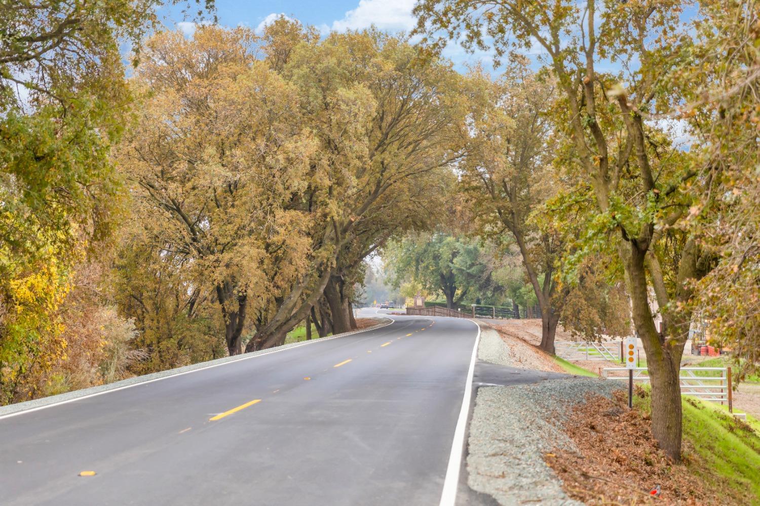 32852 South River Road Clarksburg, CA 95612 - Photo 71 of 72 a view of a yard with a tree