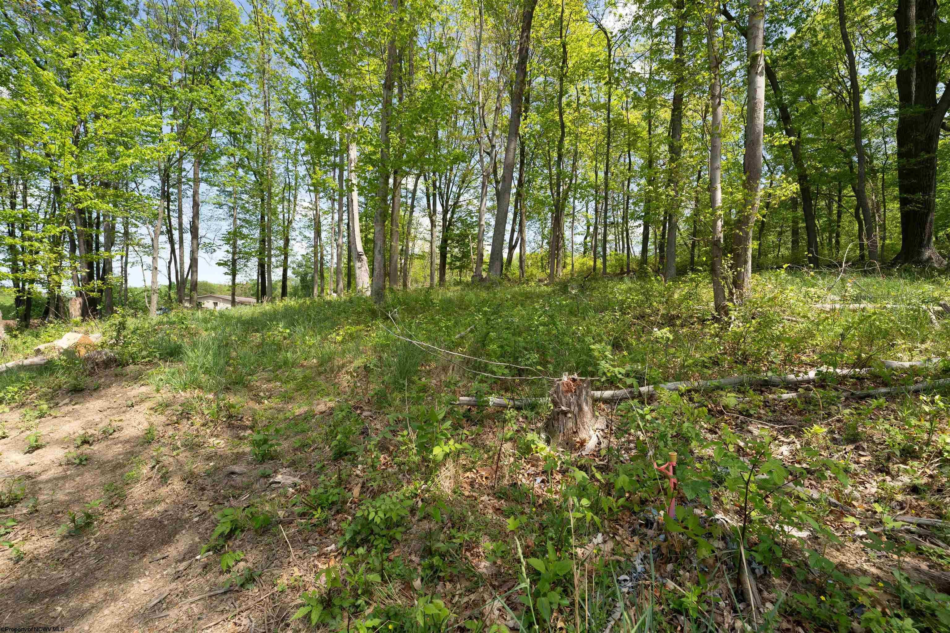 Lot 12 Raspberry Village Morgantown, WV 26505 - Photo 3 of 5 Gallery Image 3
