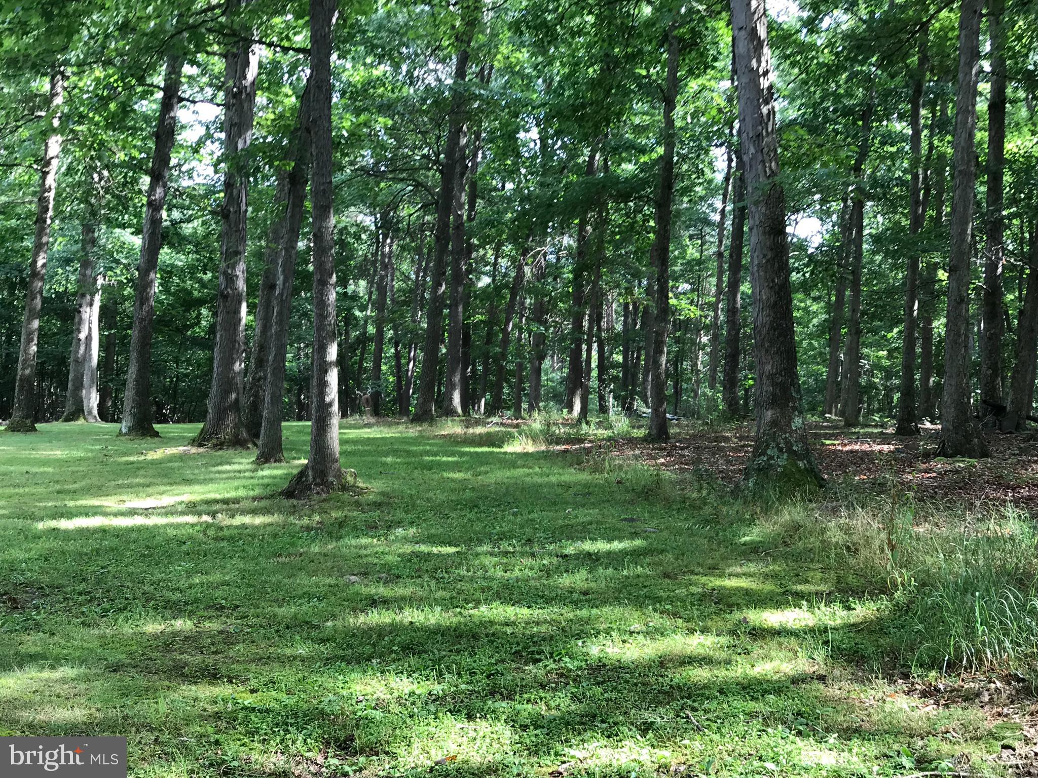 23701 Rocky Ridge Road Rawlings, MD 21557 - Photo 11 of 55 WHAT A VIEW!!!