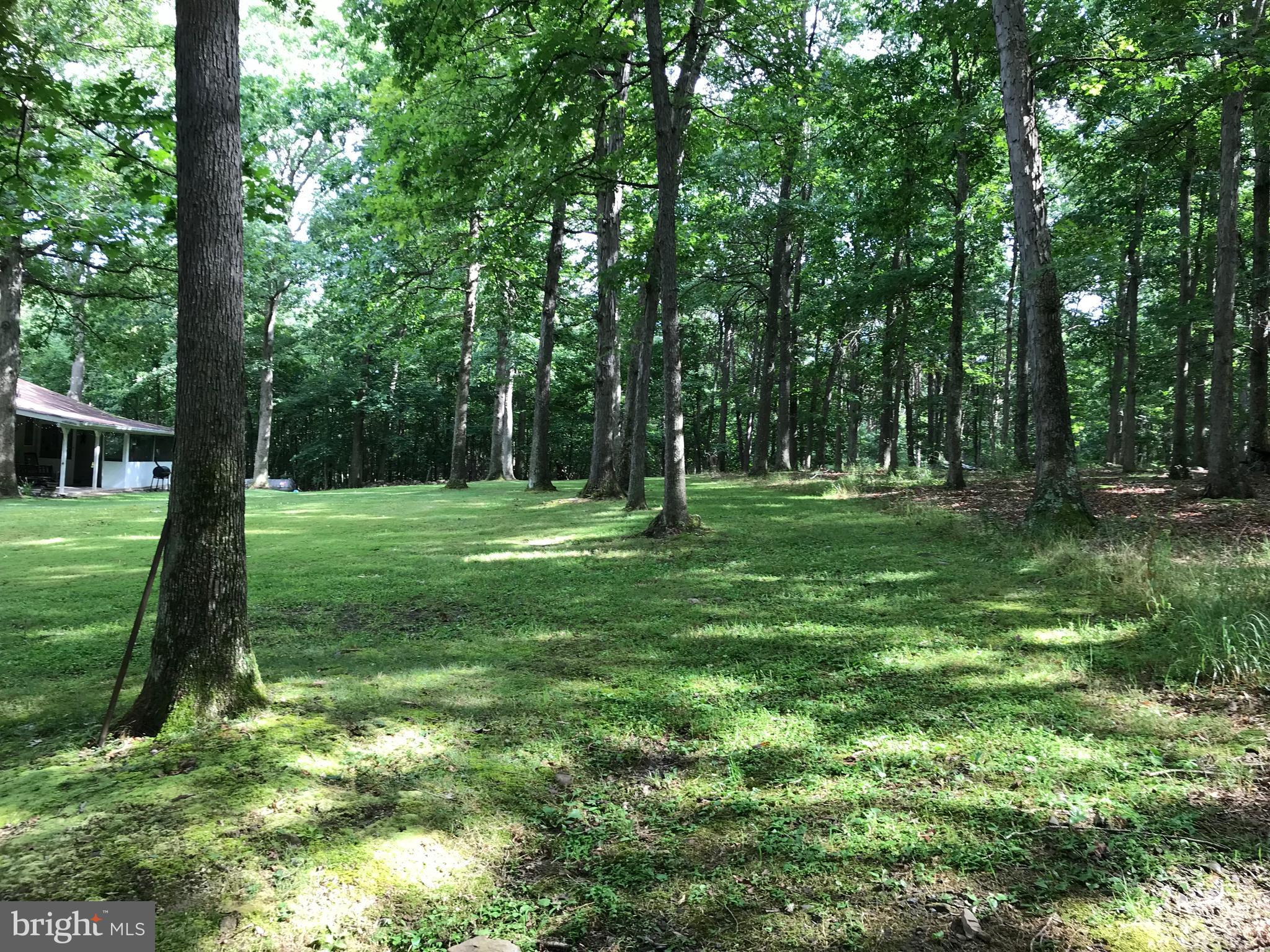 23701 Rocky Ridge Road Rawlings, MD 21557 - Photo 15 of 55 Green as far as you can see!