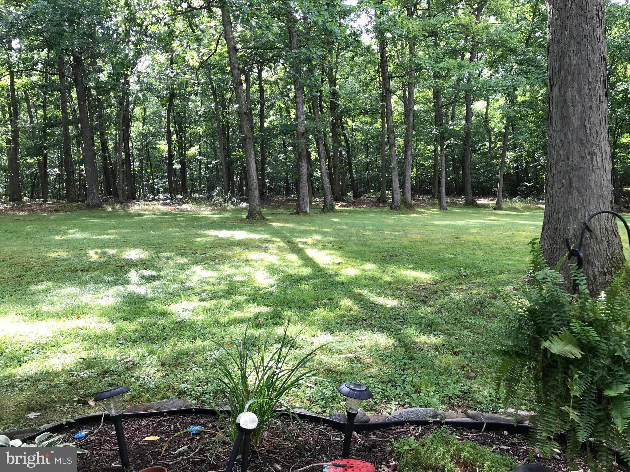 23701 Rocky Ridge Road Rawlings, MD 21557 - Photo 20 of 55 Can you just imagine calling this place home?