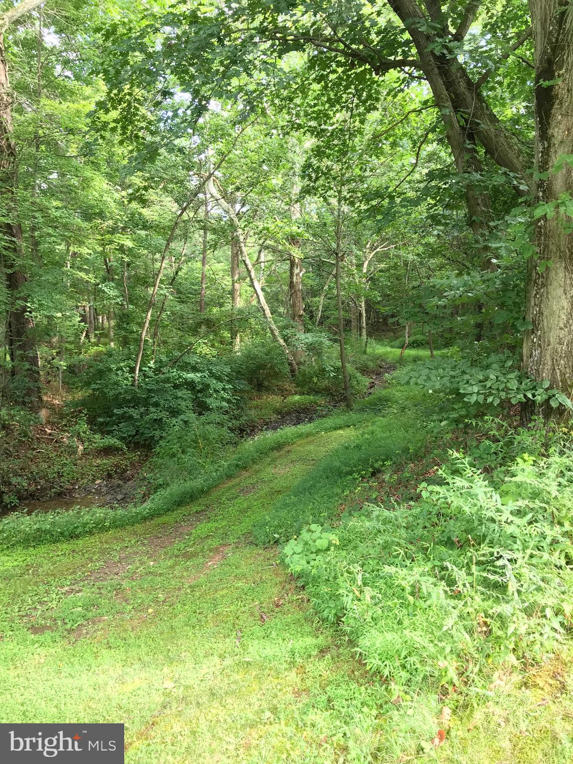 23701 Rocky Ridge Road Rawlings, MD 21557 - Photo 29 of 55 Summer is here! Where are you?