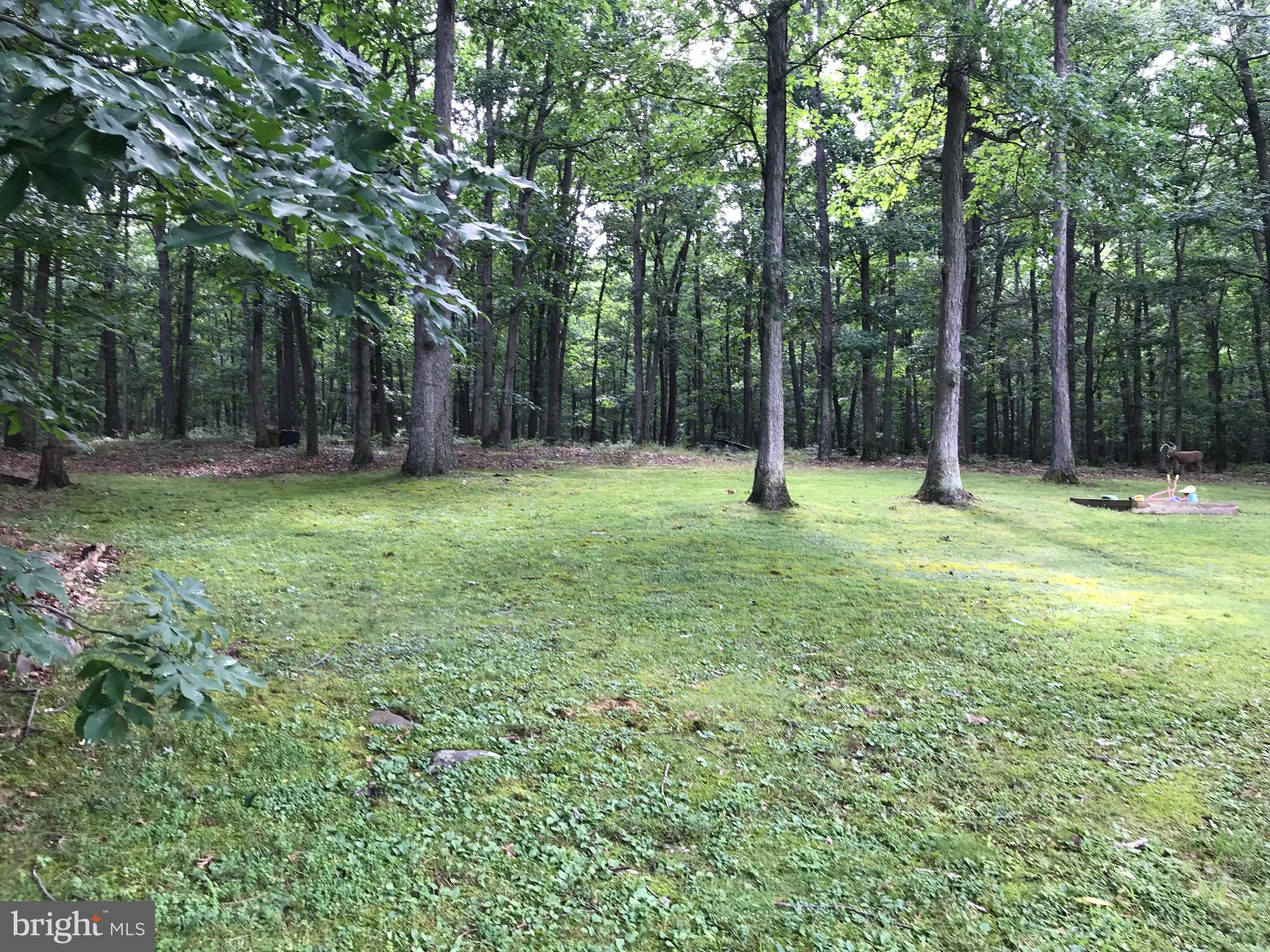23701 Rocky Ridge Road Rawlings, MD 21557 - Photo 35 of 55 So,here's another incredible view on this 5 acres