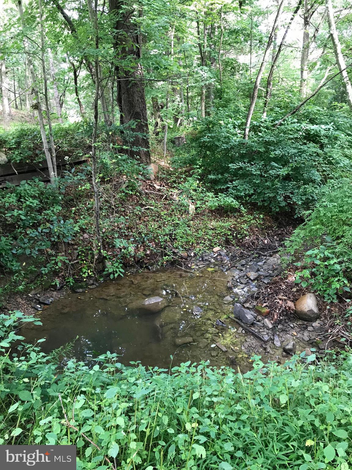 23701 Rocky Ridge Road Rawlings, MD 21557 - Photo 38 of 55 YOUR stream!! Who needs to name a star?