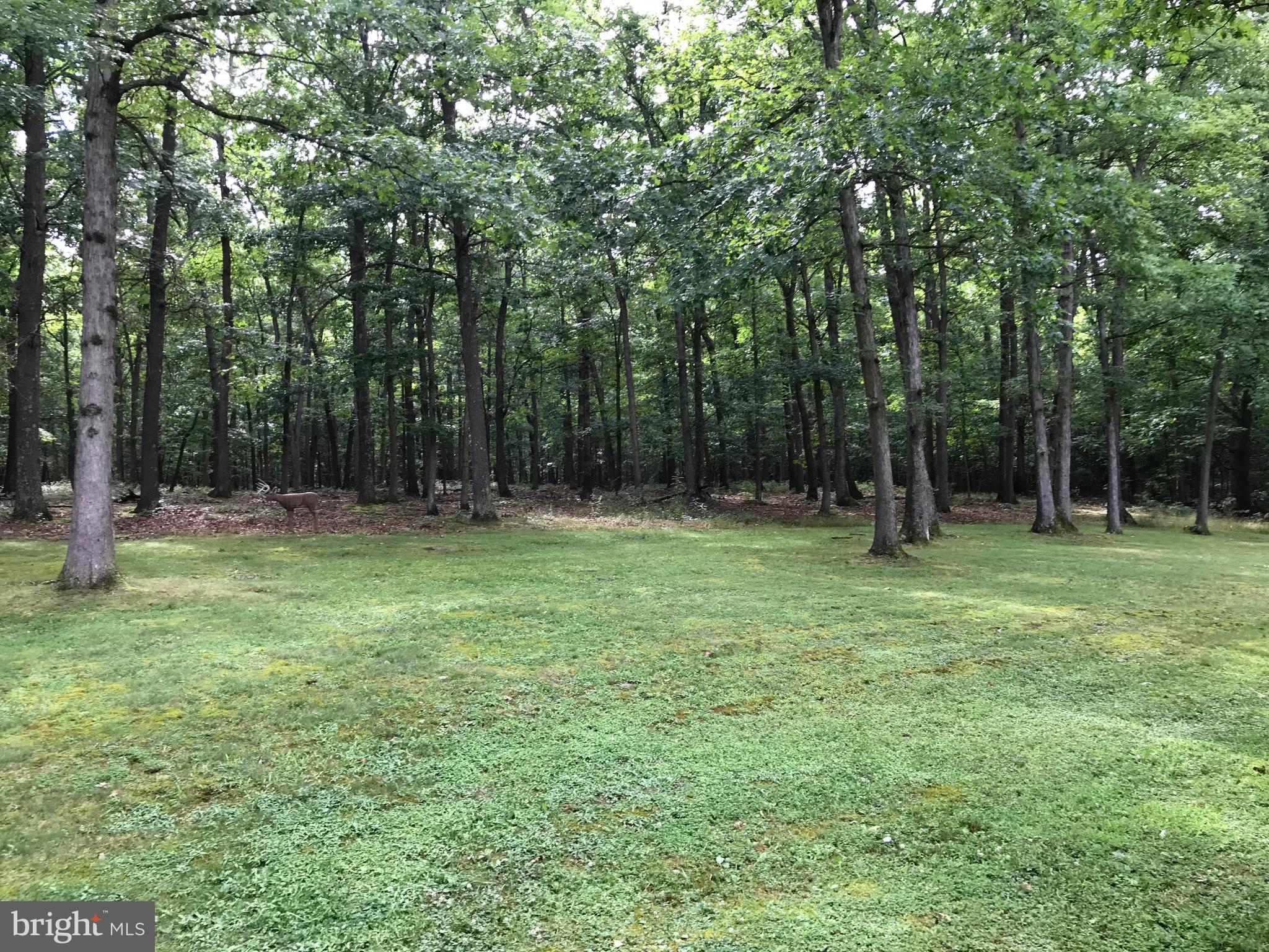 23701 Rocky Ridge Road Rawlings, MD 21557 - Photo 5 of 55 Ahhhh! God's paintbrush is ever present here!