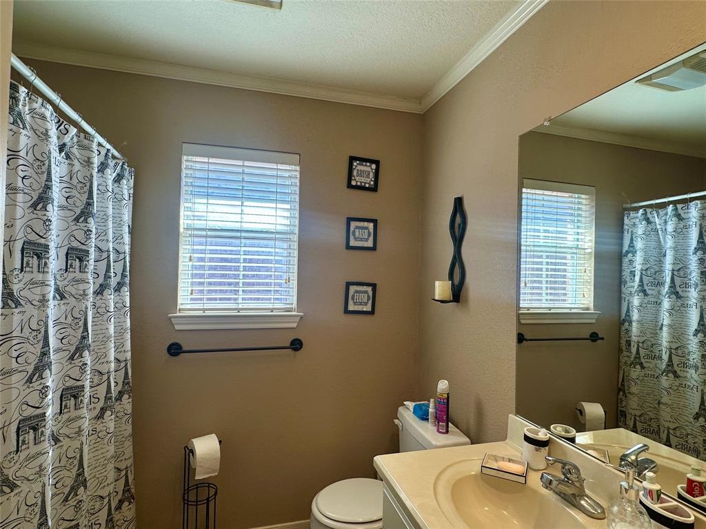 10504 Whitney Trace Drive Waco, TX 76708 - Photo 25 of 36 a bathroom with a sink mirror and toilet