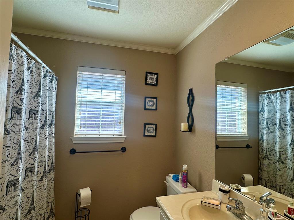 10504 Whitney Trace Drive Waco, TX 76708 - Photo 26 of 36 a bathroom with a sink a toilet and next to a window