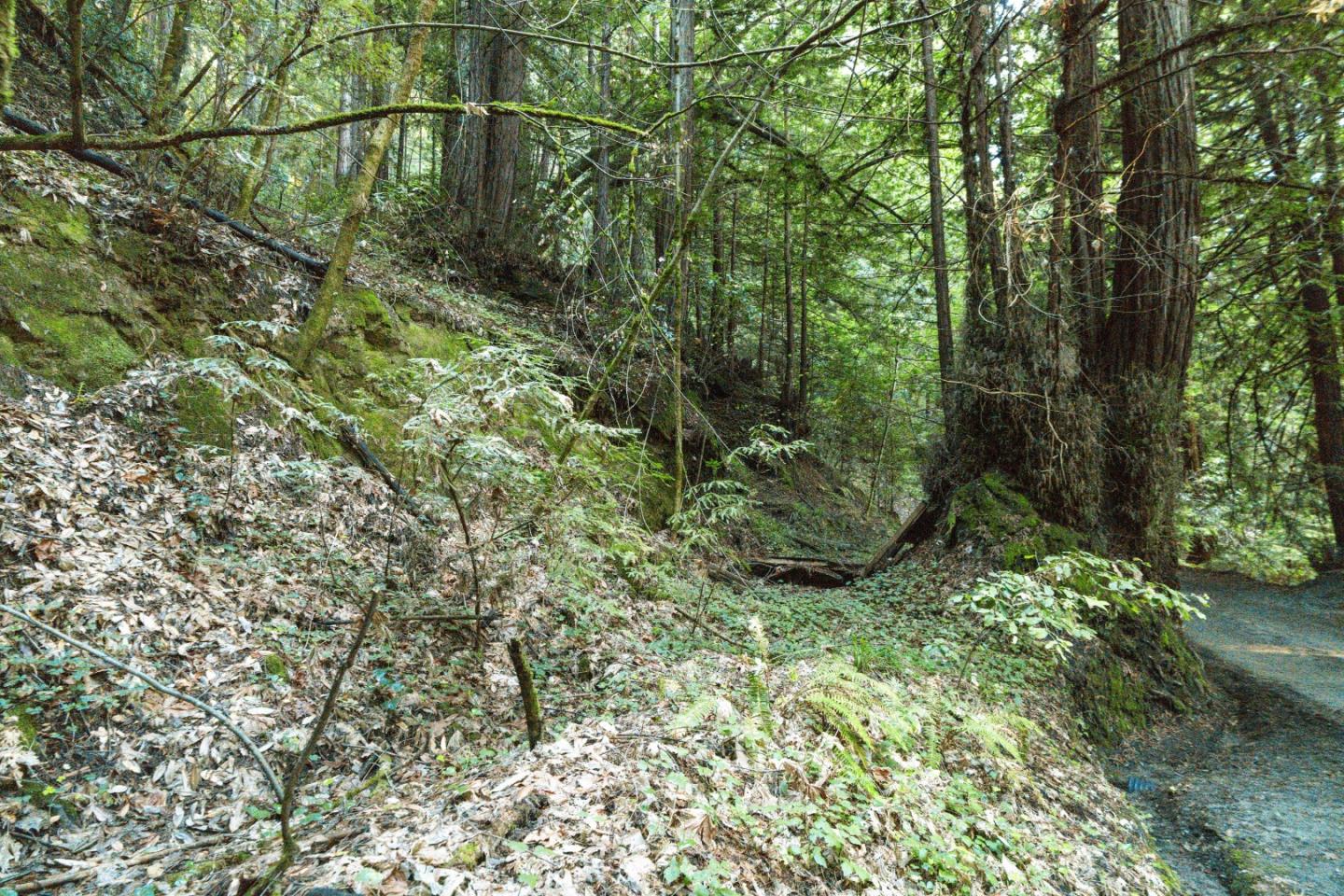 0 Pringle Lane Soquel, CA 95073 - Photo 13 of 24 a view of a yard