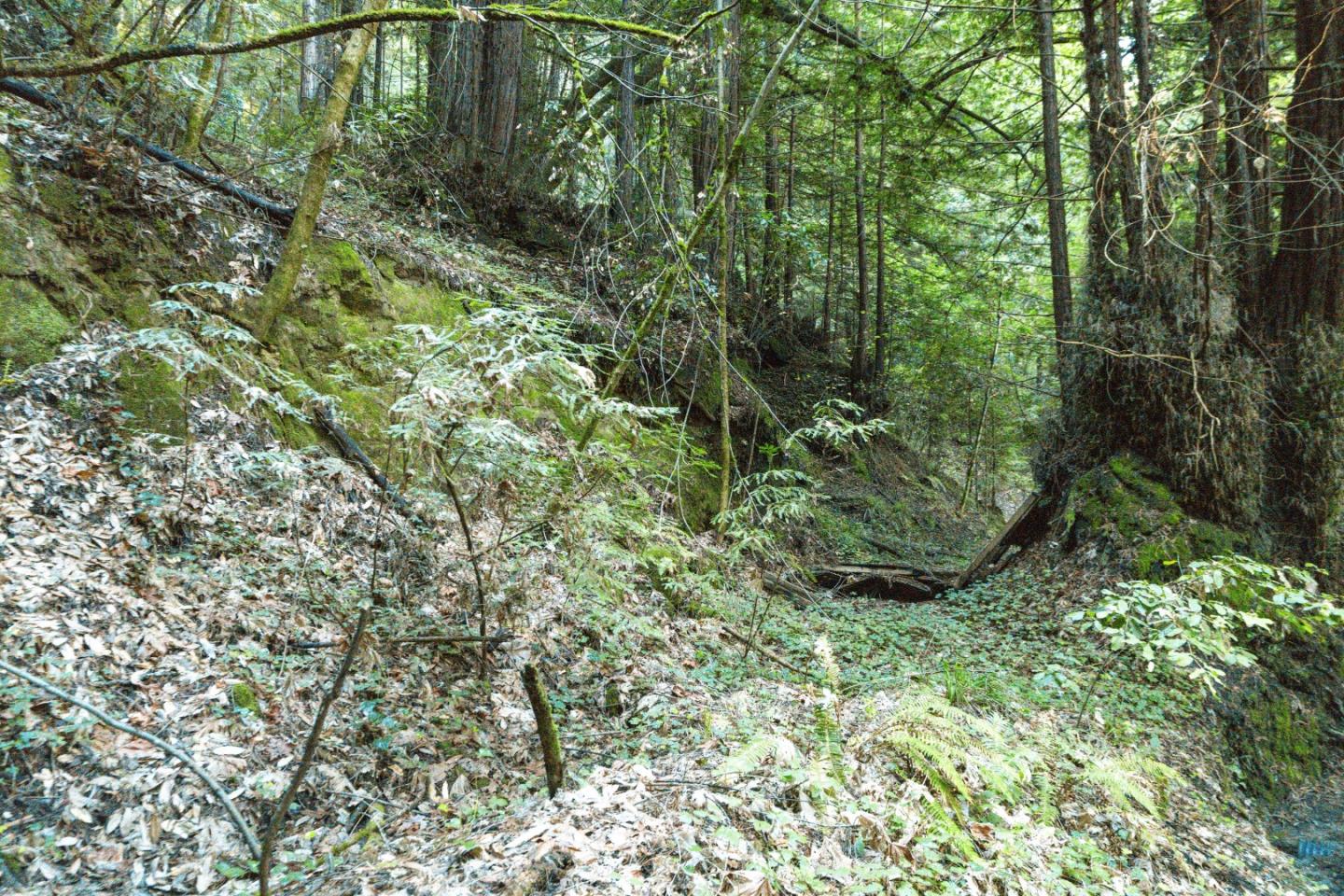 0 Pringle Lane Soquel, CA 95073 - Photo 14 of 24 a view of a garden