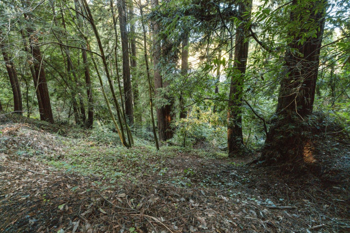 0 Pringle Lane Soquel, CA 95073 - Photo 16 of 24 a green field with lots of trees