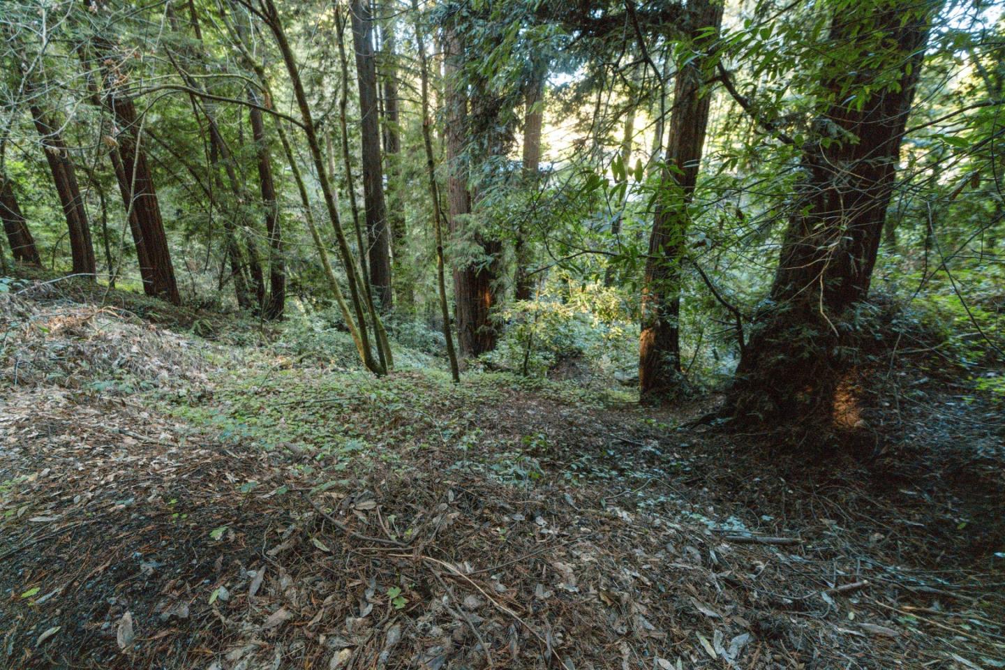 0 Pringle Lane Soquel, CA 95073 - Photo 17 of 24 a view of outdoor space and green space