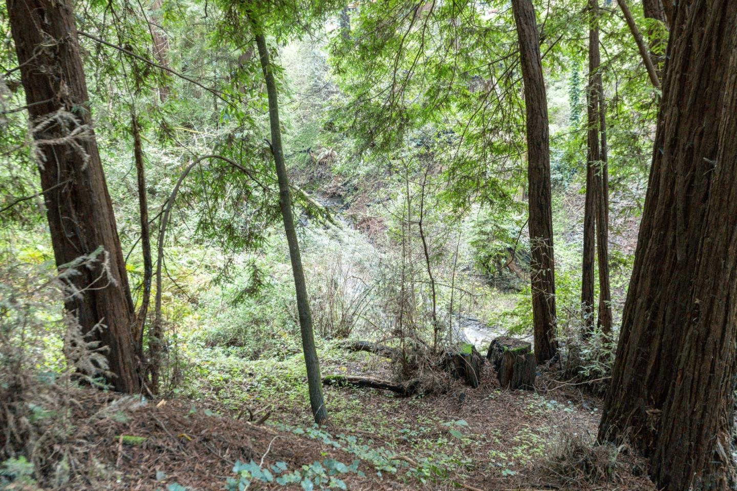 0 Pringle Lane Soquel, CA 95073 - Photo 18 of 24 a view of outdoor space and trees