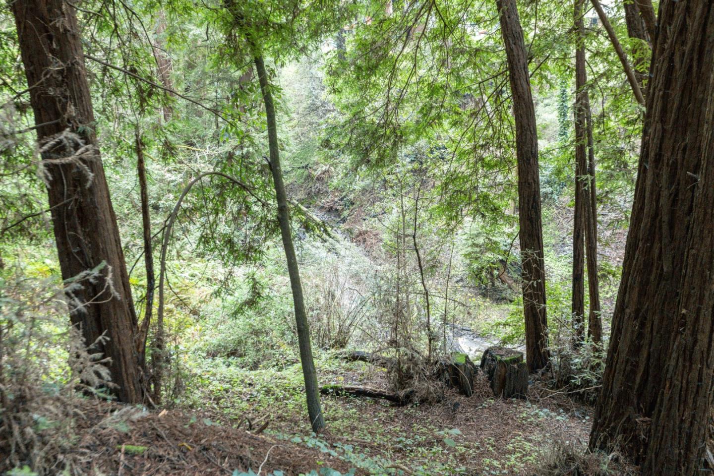 0 Pringle Lane Soquel, CA 95073 - Photo 19 of 24 a view of outdoor space and green space