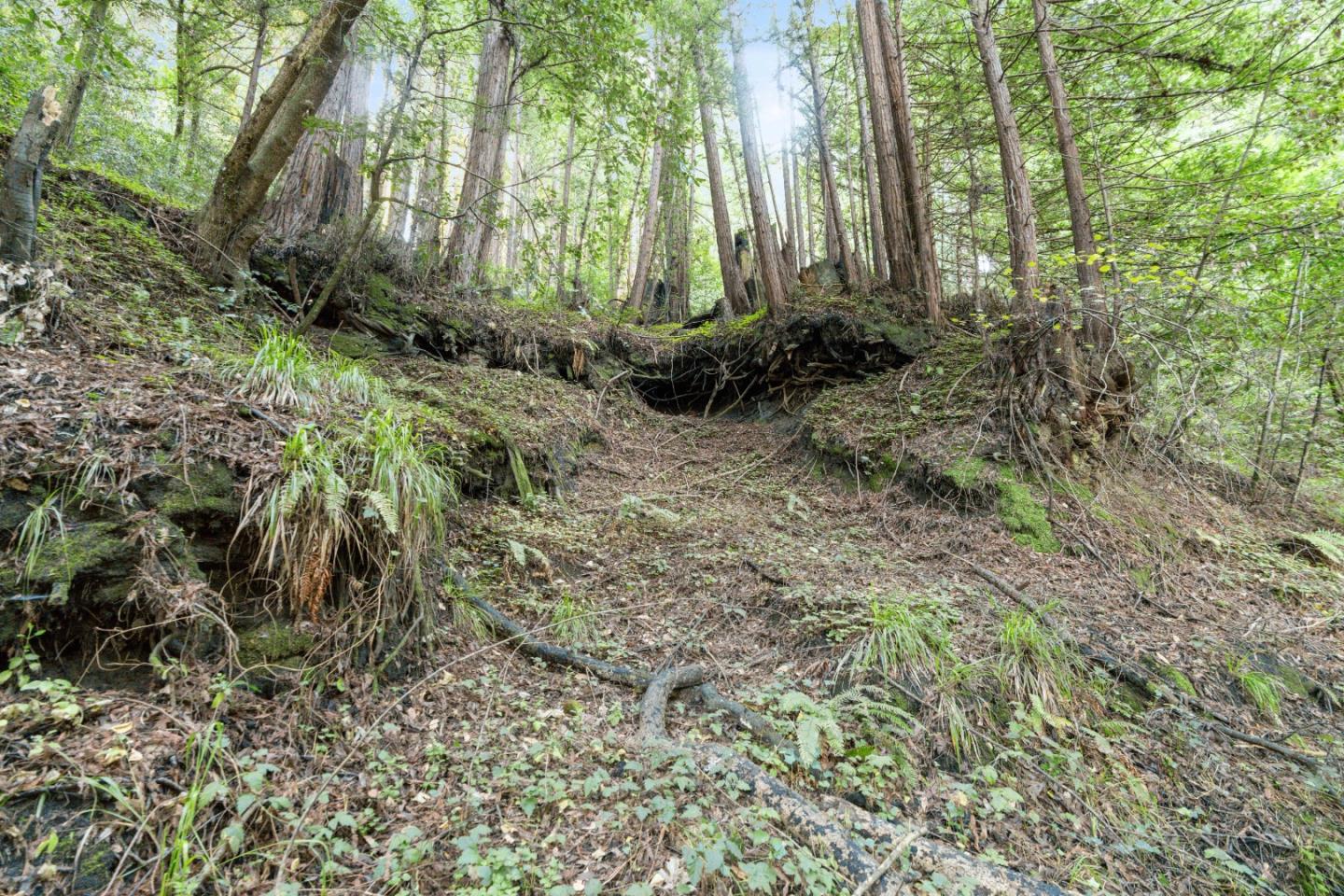0 Pringle Lane Soquel, CA 95073 - Photo 22 of 24 a view of outdoor space and a yard