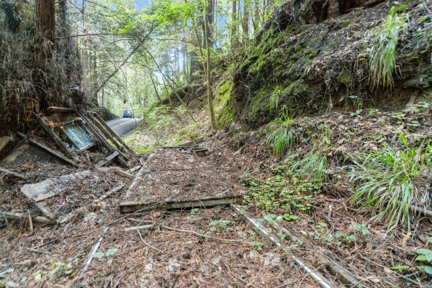 0 Pringle Lane Soquel, CA 95073 - Photo 24 of 24 a view of a yard with plants and large trees