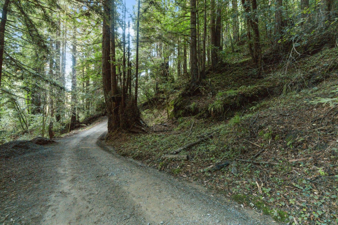 0 Pringle Lane Soquel, CA 95073 - Photo 3 of 24 a view of a forest with trees