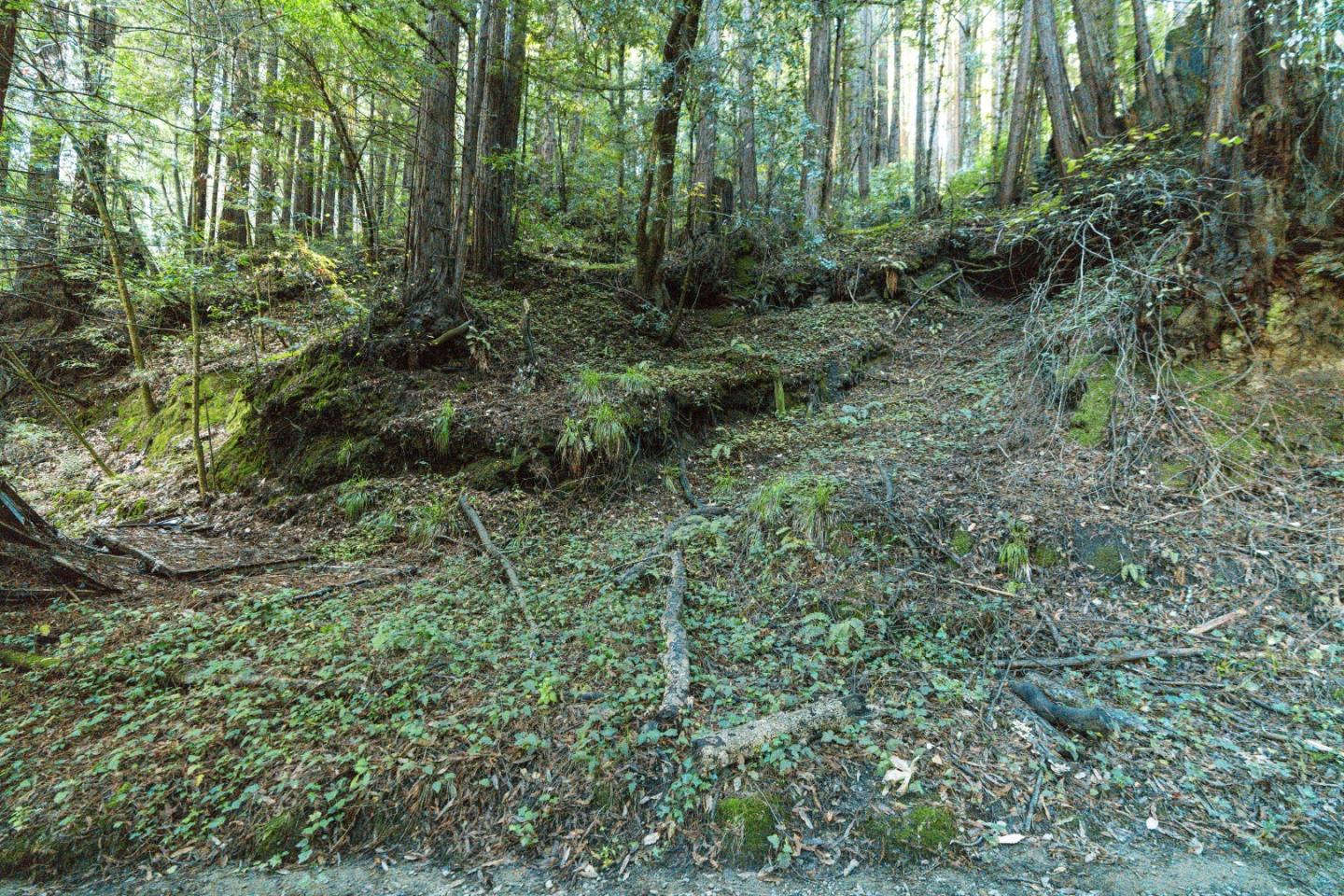 0 Pringle Lane Soquel, CA 95073 - Photo 9 of 24 a view of a lush green forest