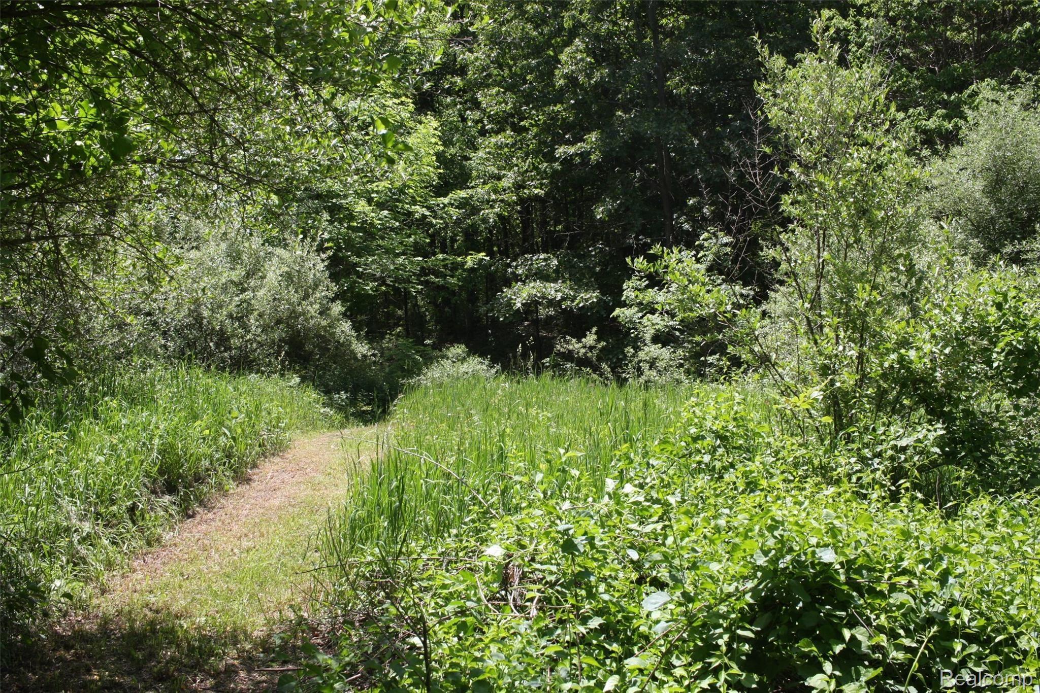 13101 Rattalee Lake Road Davisburg, MI 48350 - Photo 48 of 68 30 - paJgOml.jpg