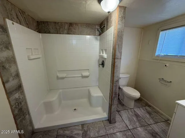 a bathroom with a shower and a toilet