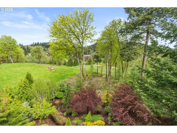a view of a big yard with large trees