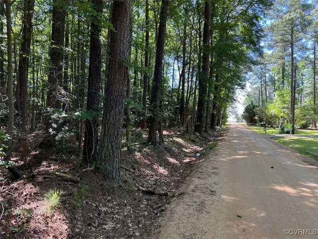 a view of outdoor space with lots of trees