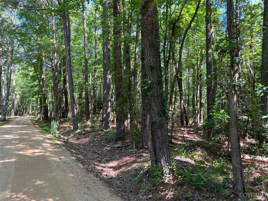 0 Richmond Road Deltaville, VA 23043 - Photo 2 of 5 a view of outdoor space with trees