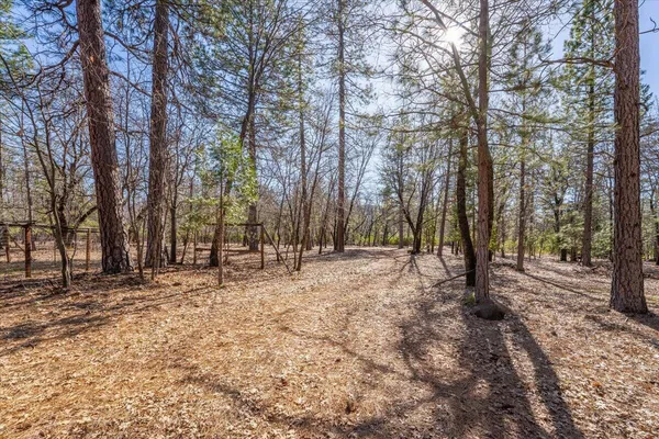 a view of dirt yard with a large tree
